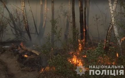 Чернобыльский лес загорелся из-за женской мести - полиция