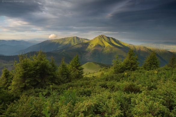Карпаты