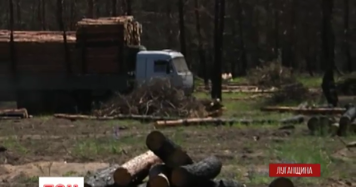 В Генштабе обнародовали стоимость одного опорного пункта для ВСУ на Донбассе