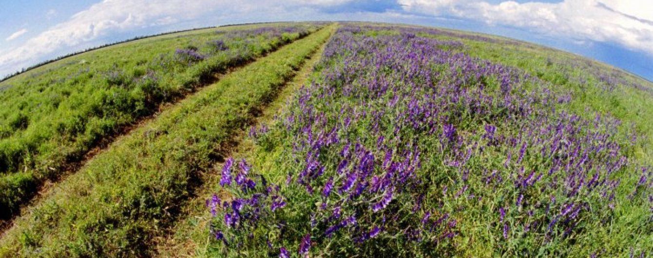 Половину земної кулі хочуть перетворити на заповідники