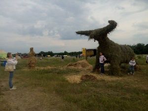 Неподалік Києва розгорнувся етно-фестиваль "Трипільське коло"