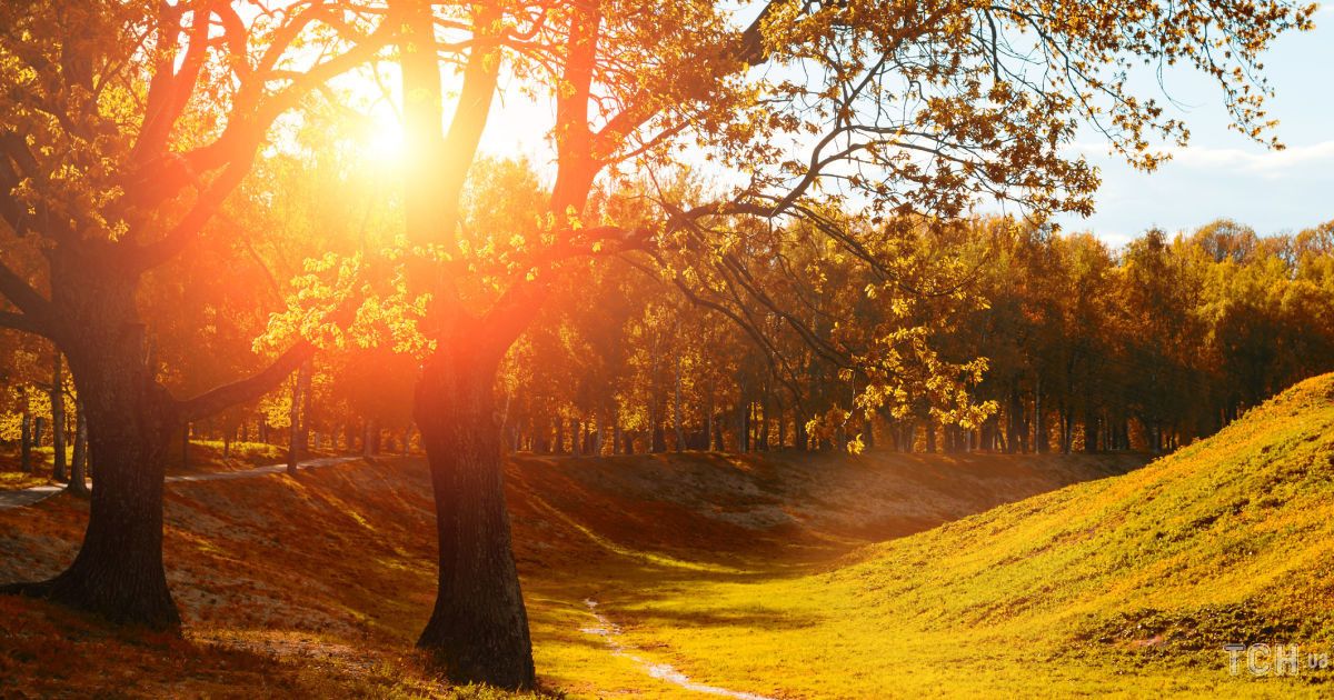 Гороскоп на 5 вересня для всіх знаків Зодіаку