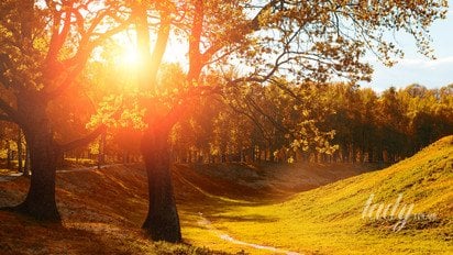 Осінній пейзаж