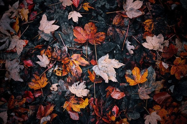 Народні прикмети 30 вересня / © pexels.com