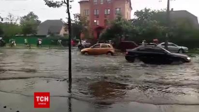 Негода повалила дерево та залила дорогу біля станції метро "Нивки"