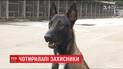 Шукати зброю, вибухівку та затримувати злочинців: як цуценят готують до роботи на блокпостах