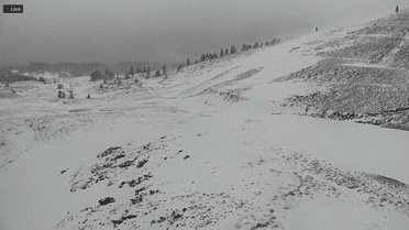 Сніг на Дрогобраті 24 жовтня_2 / © Snig.Info