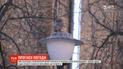 Весна вне расписания: в Киеве зафиксировали абсолютный температурный рекорд