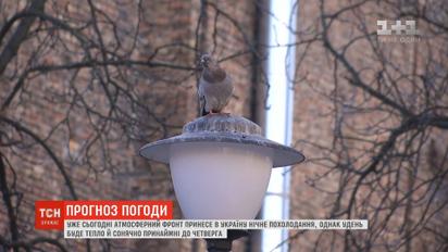 Весна вне расписания: в Киеве зафиксировали абсолютный температурный рекорд