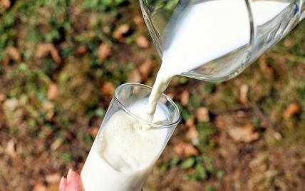 Рослинне молоко набуває популярності в Україні, але медики радять не зловживати ним і пити коров'яче також