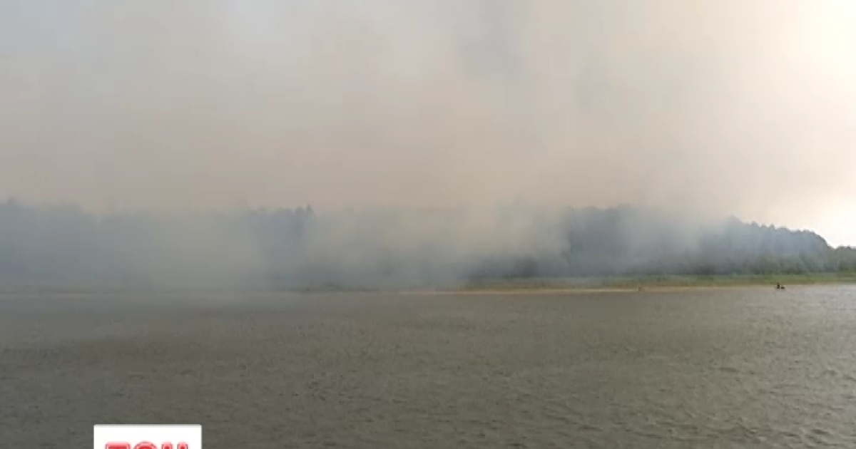 Київщина у вогні: лісові пожежі перекинулися на Вишгородський район