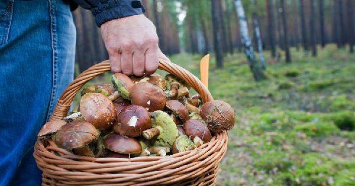 В Україну прийшло жовтневе "бабине літо". Якою буде погода на вихідних