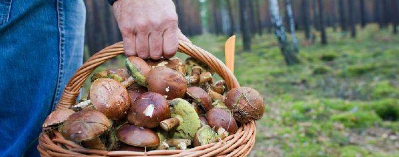 Під Чернівцями близько 200 осіб розшукують родину, що загубилась у лісі