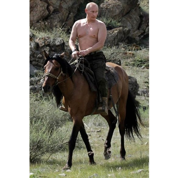 Путін на коні