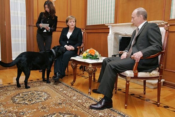 Меркель і собака Путіна