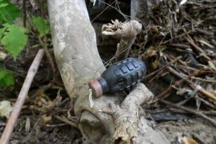 На Луганщині двоє цивільних підірвалися на розтяжці