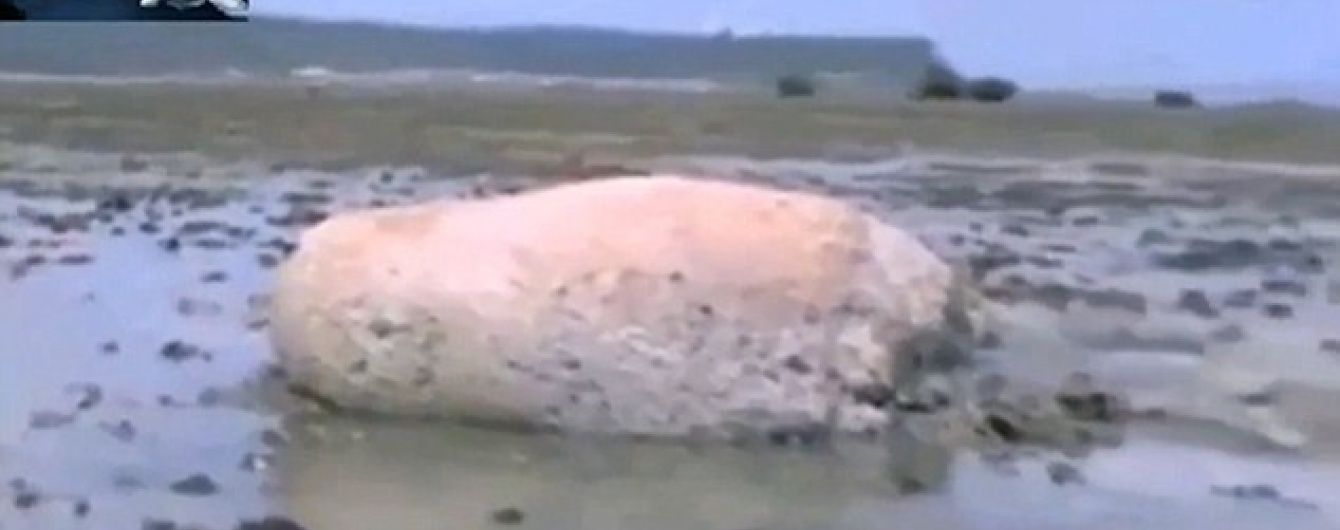 В Сети показали видео с таинственным существом, которое выбросило на берег после цунами
