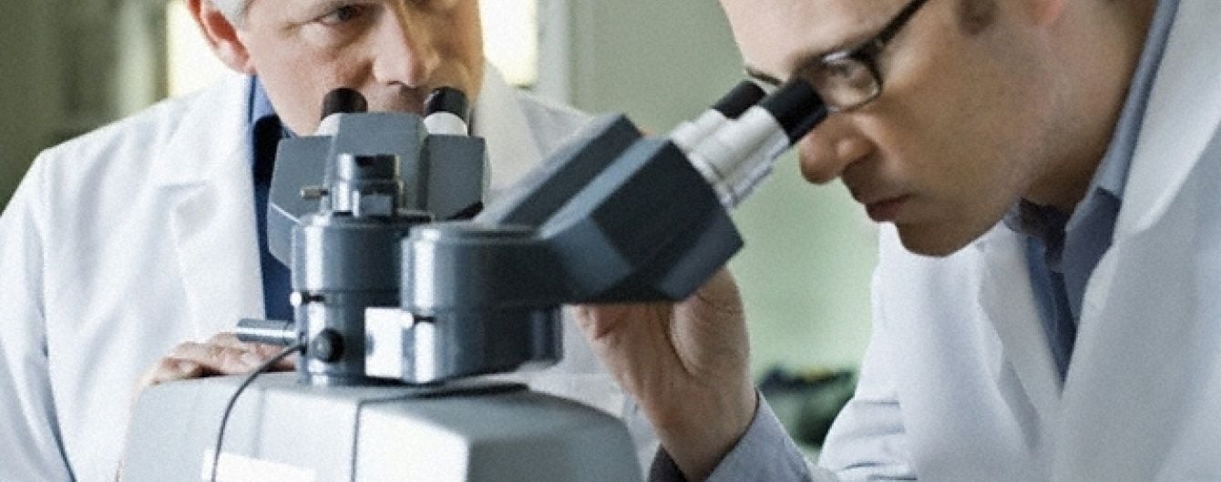 Вченим вперше вдалося виростити в лабораторії двотижневий людський ембріон