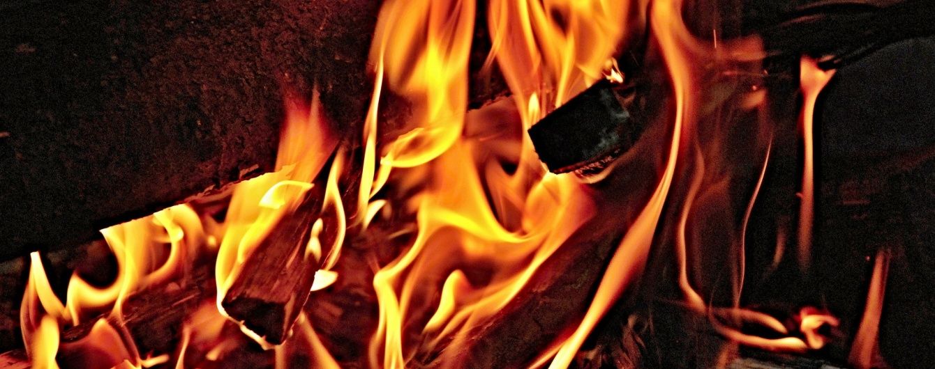Лісники під Києвом можуть потрапити на лаву підсудних за вогнища в заповіднику