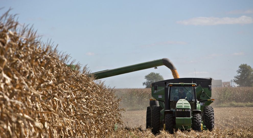 Житниця Європи: експерти пророкують Україні рекордний експорт продуктів до ЄС