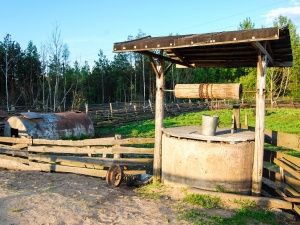 В одном из поселков Житомирской области пересохли колодца: что говорит эколог
