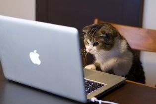 В усіх регіонах України стався технічний збій на мережі "Укртелекому"