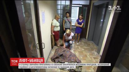 В столице неисправный лифт задушил собаку
