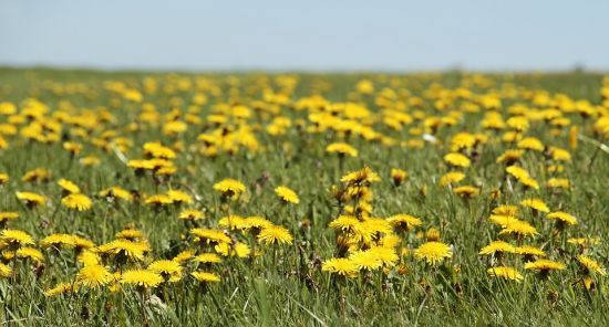 Спека повертається: яку погоду очікувати в Україні 15 серпня
