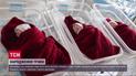Потрійне щастя: переселенка із Харкова народила в Одесі трійню
