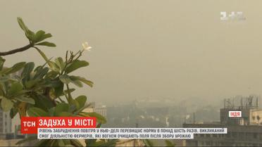 Уровень загрязнения воздуха в столице Индии превышает норму в 6 раз