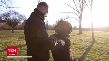 Большая пешая прогулка: киевлянин отправился в путешествие по Украине вместе с собакой