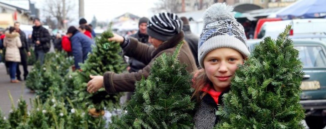 Економічні новини 16 грудня: святкові потяги Україною та карта "живих" ялинок