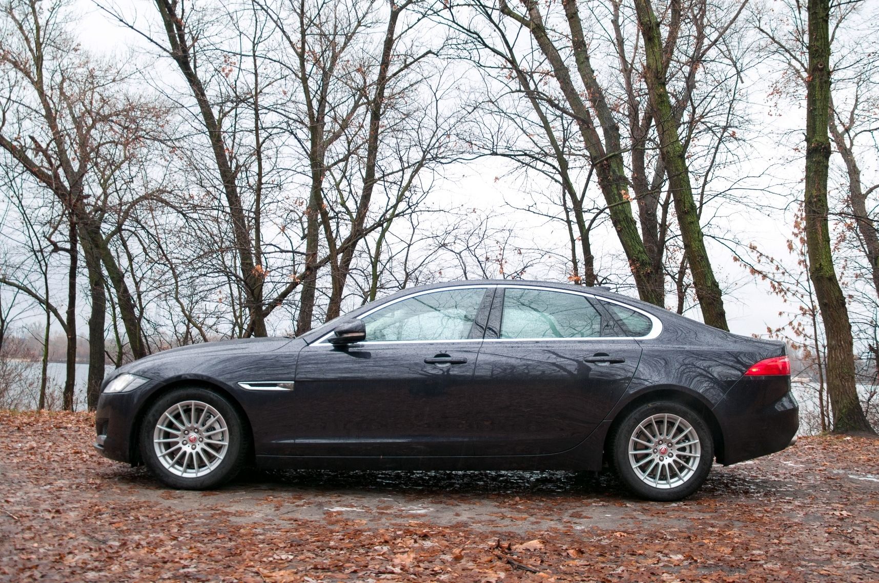 Jaguar XF_3