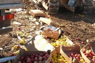 У Росії знищили 57 тонн білоруських фруктів