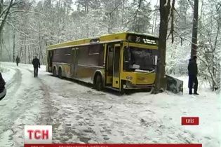 У Пущі-Водиці автобус врізався в дерево - травми отримали чотири жінки
