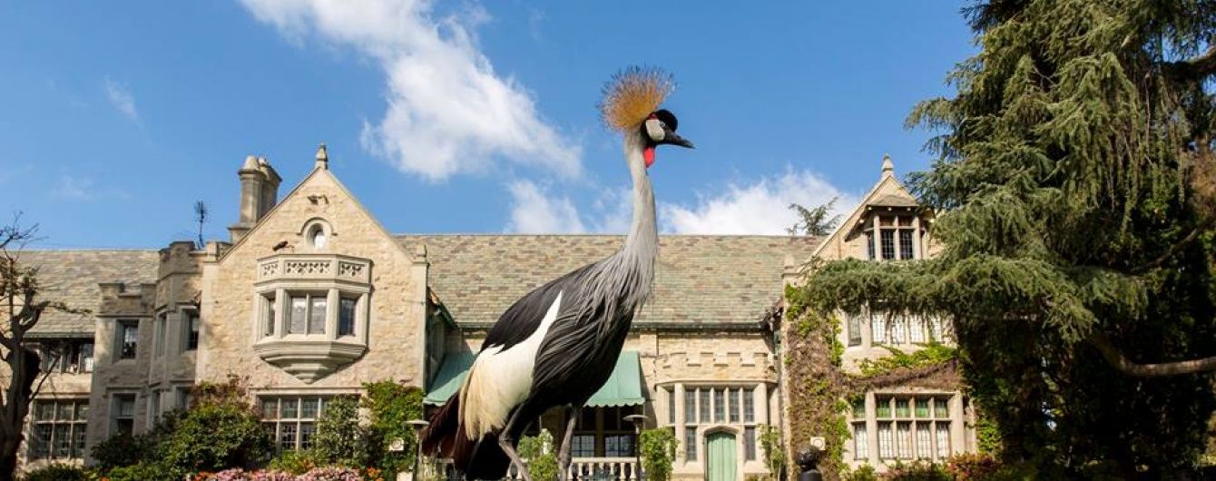 Легендарний будинок Playboy Mansion виставлять на продаж