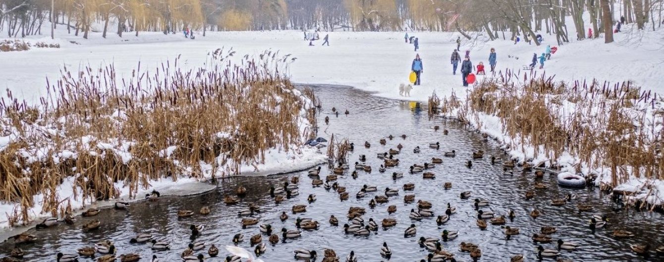 В Україні буде без опадів та плюсова температура. Прогноз погоди на 30 січня