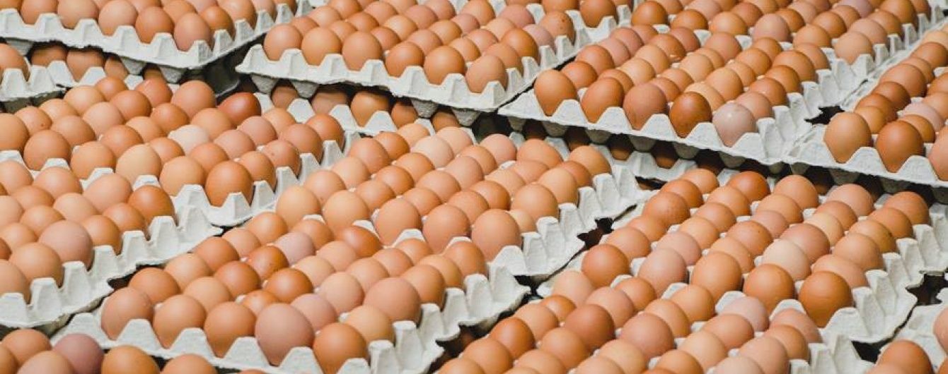 Made in Ukraine. Що й куди експортує Україна та які перспективи розширення ринків збуту