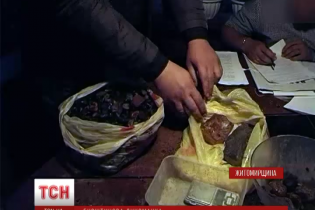 На Житомирщині правоохоронці затримали банду нелегальних копачів бурштину