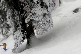 Лижники зняли на відео небезпечну зустріч зі сніговим барсом в Індії