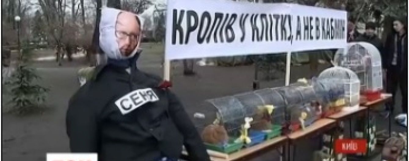 Звіт уряду у Раді. Мітингувальники принесли під стіни парламенту клітки із півнем та кроликом