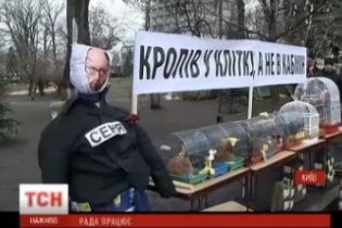 Звіт уряду у Раді. Мітингувальники принесли під стіни парламенту клітки із півнем та кроликом