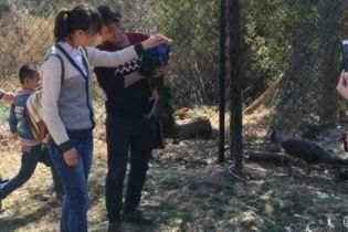Відвідувачі зоопарку заради селфі закатували двох павичів