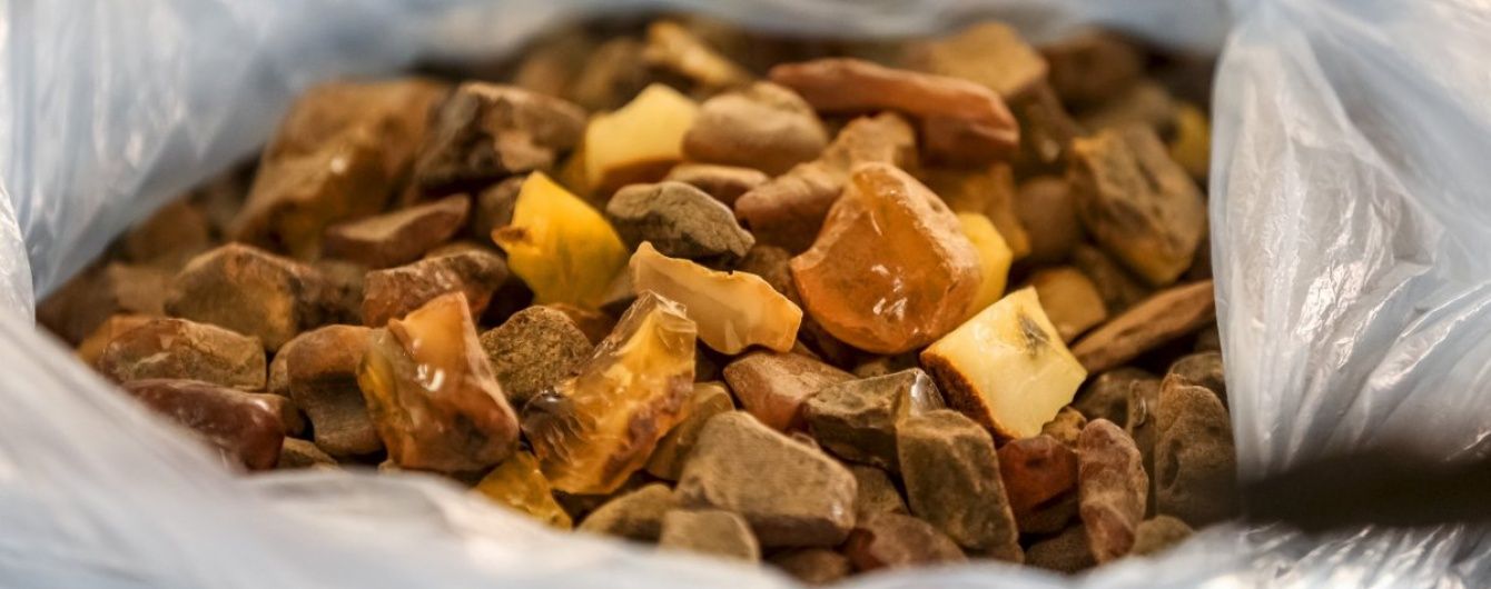 Із України до Польщі вивезли рекордну партію нелегального бурштину