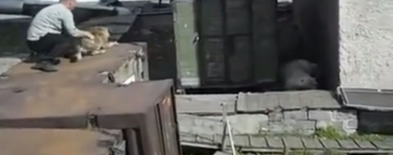 Згодувати заживо. У Росії чоловік задля розваги кинув живого собаку білому ведмедю на поталу