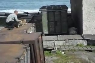 Згодувати заживо. У Росії чоловік задля розваги кинув живого собаку білому ведмедю на поталу
