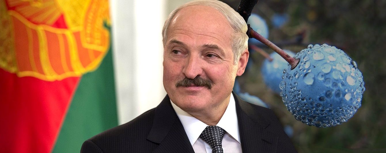 (С)адовая политика: Терновый Лукашенко