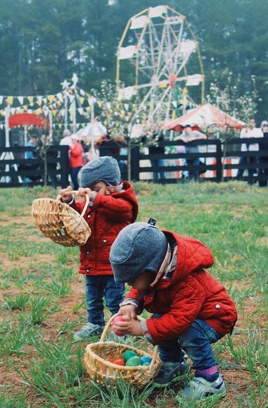 Обзор Instagram_10