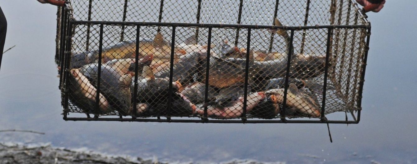 В Україні заборонили ловити рибу та нагадали про штрафи