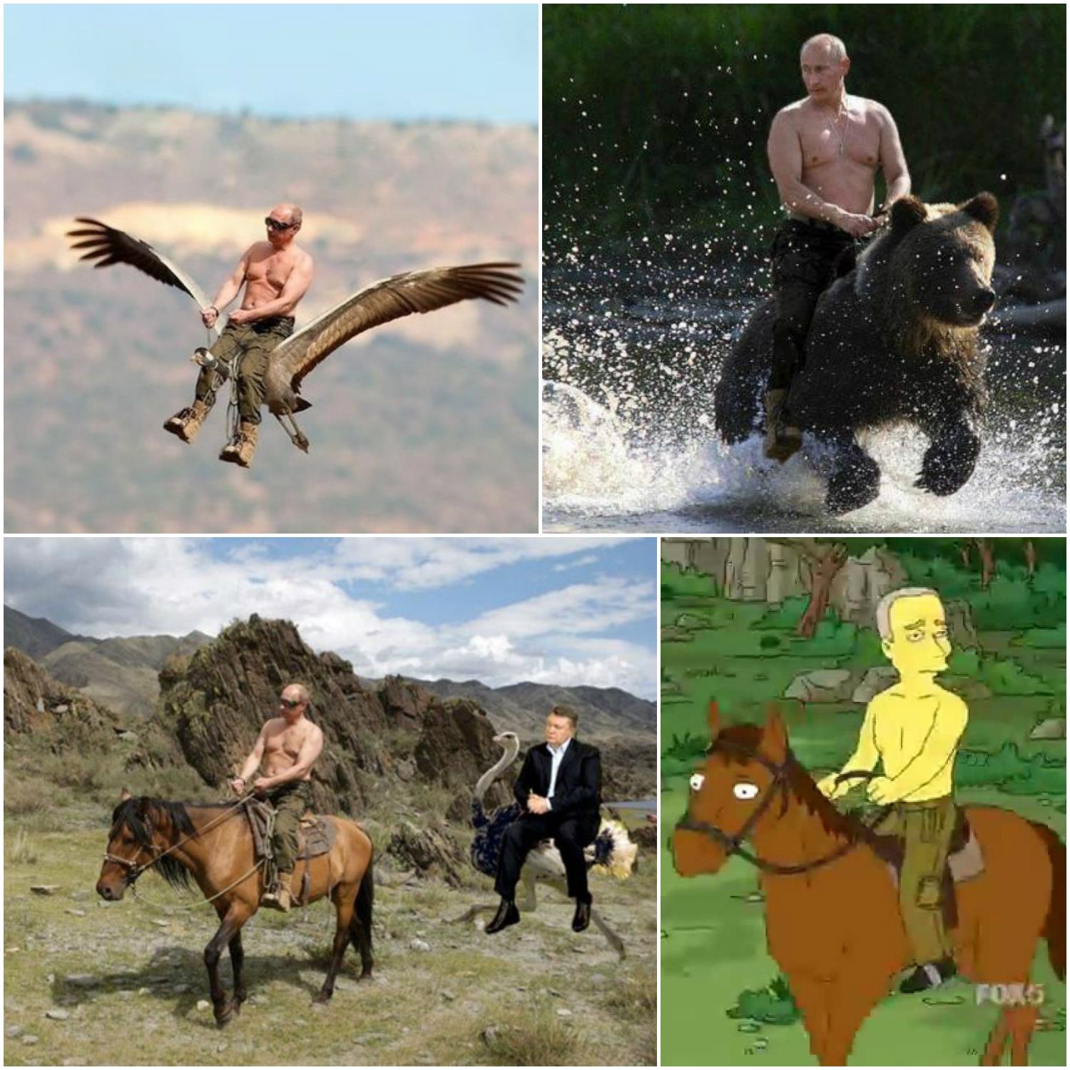 Мем "Путін на коні"